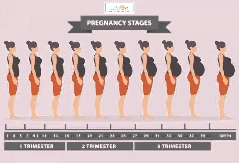 First Trimester (Weeks 1–12): Early Changes You Might Not Notice West Hampstead